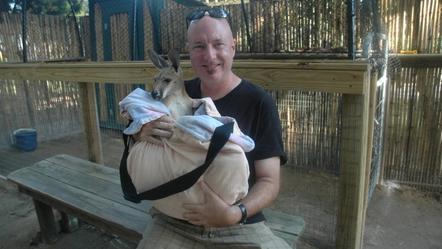 A close encounter with a baby kangaroo at Alabama Gulf Coast Zoo