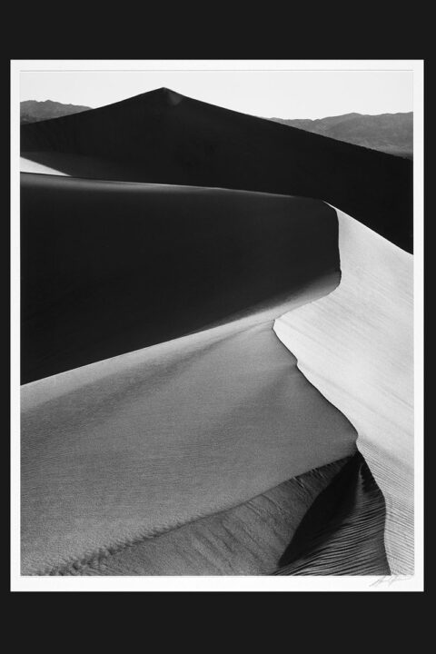 ART REVIEW: Nature Comes to Light - VEER Magazine :: Hampton Roads arts ...