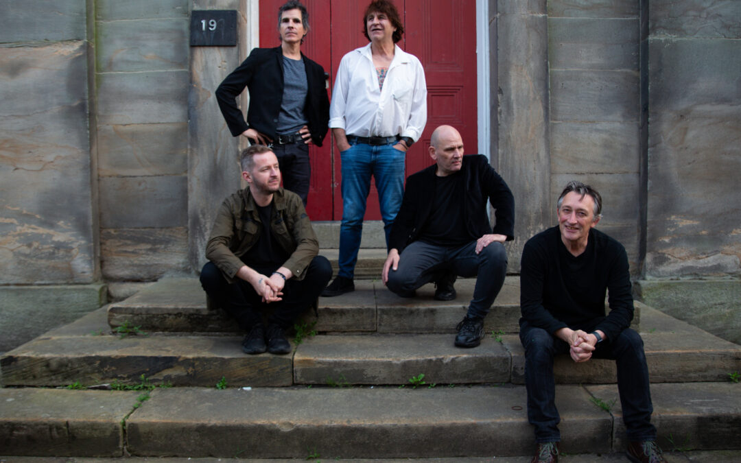 Chameleons Tour Glowing Arctic Moon